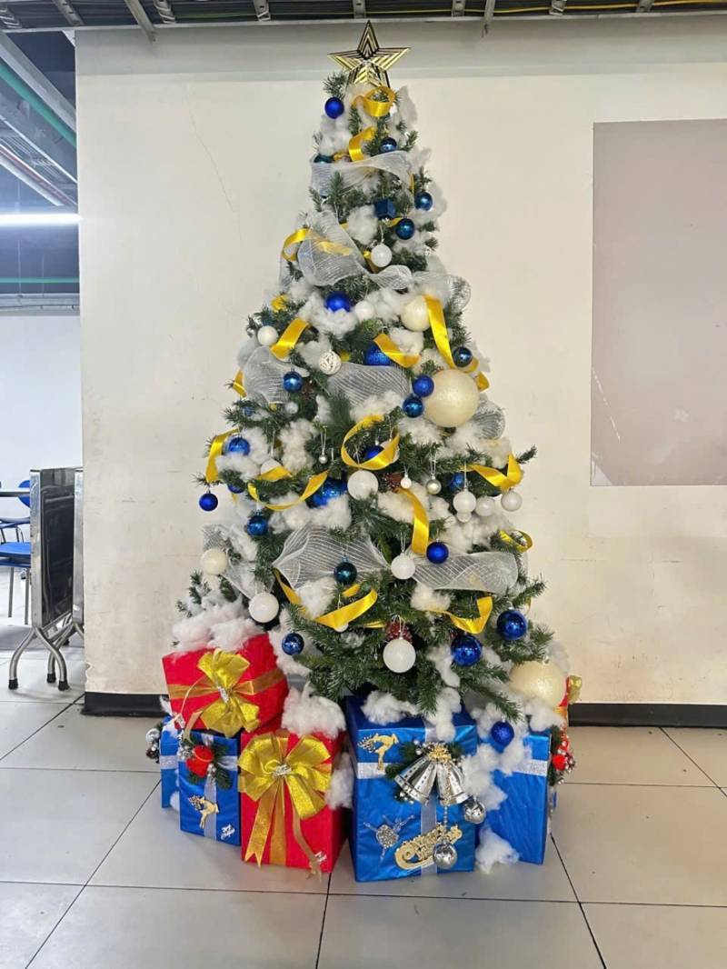  Báo Giá Trang Trí Cây Thông Noel Tại Quận 6. Ảnh 2